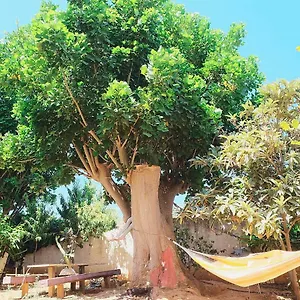 Casa Dada Italia
