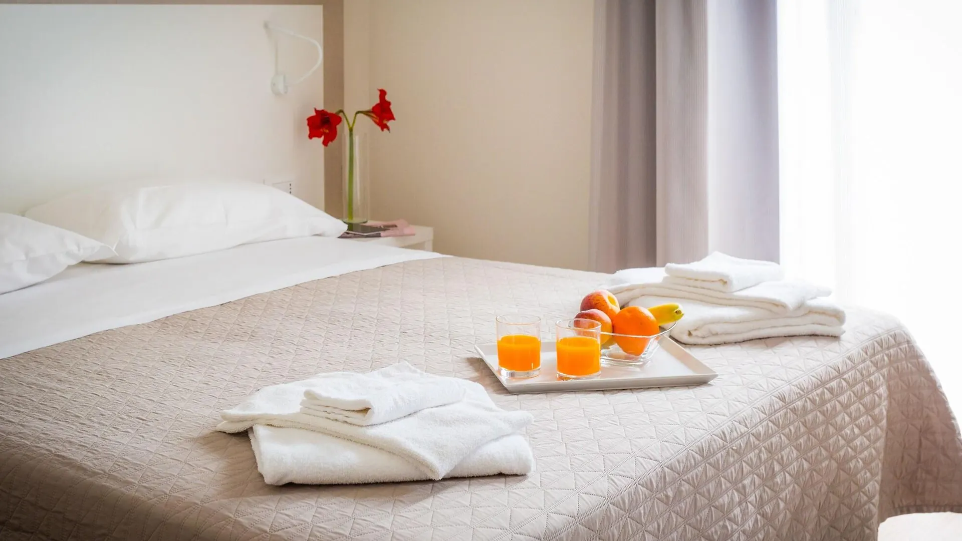 Hotel Amicizia Rimini